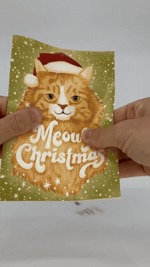 Meowy X-Mas 10-Pack Special | BLACK FRIDAY | CYBER MONDAY