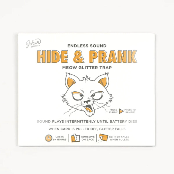 Hide & Prank | Meowy Glitter Trap